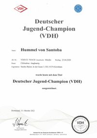 hummel VDH Jugendchampion